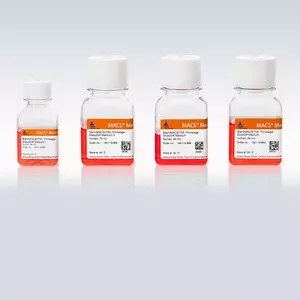 StemMACS™ Y27632 | Miltenyi Biotec | USA