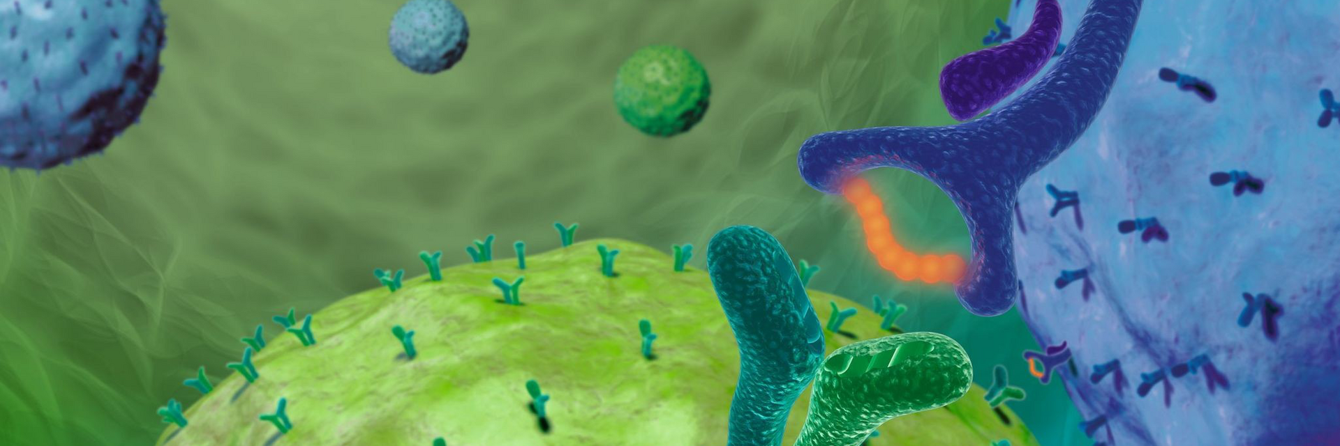 Peptide Pools for Antigen-specific T Cell Stimulation | Miltenyi Biotec ...