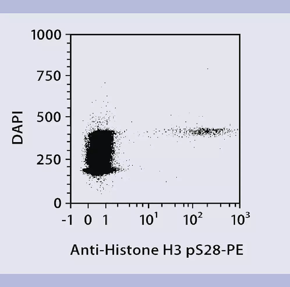 Cell Cycle Analysis by Flow Cytometry | Workflow | Miltenyi Biotec ...