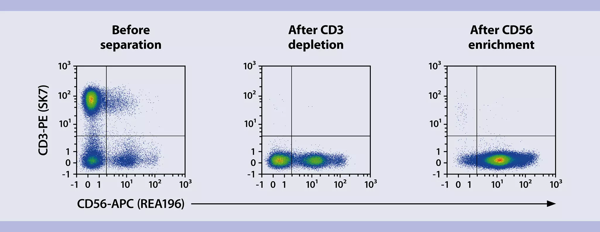 CAR NK cells | Streamlined workflow for generation and analysis