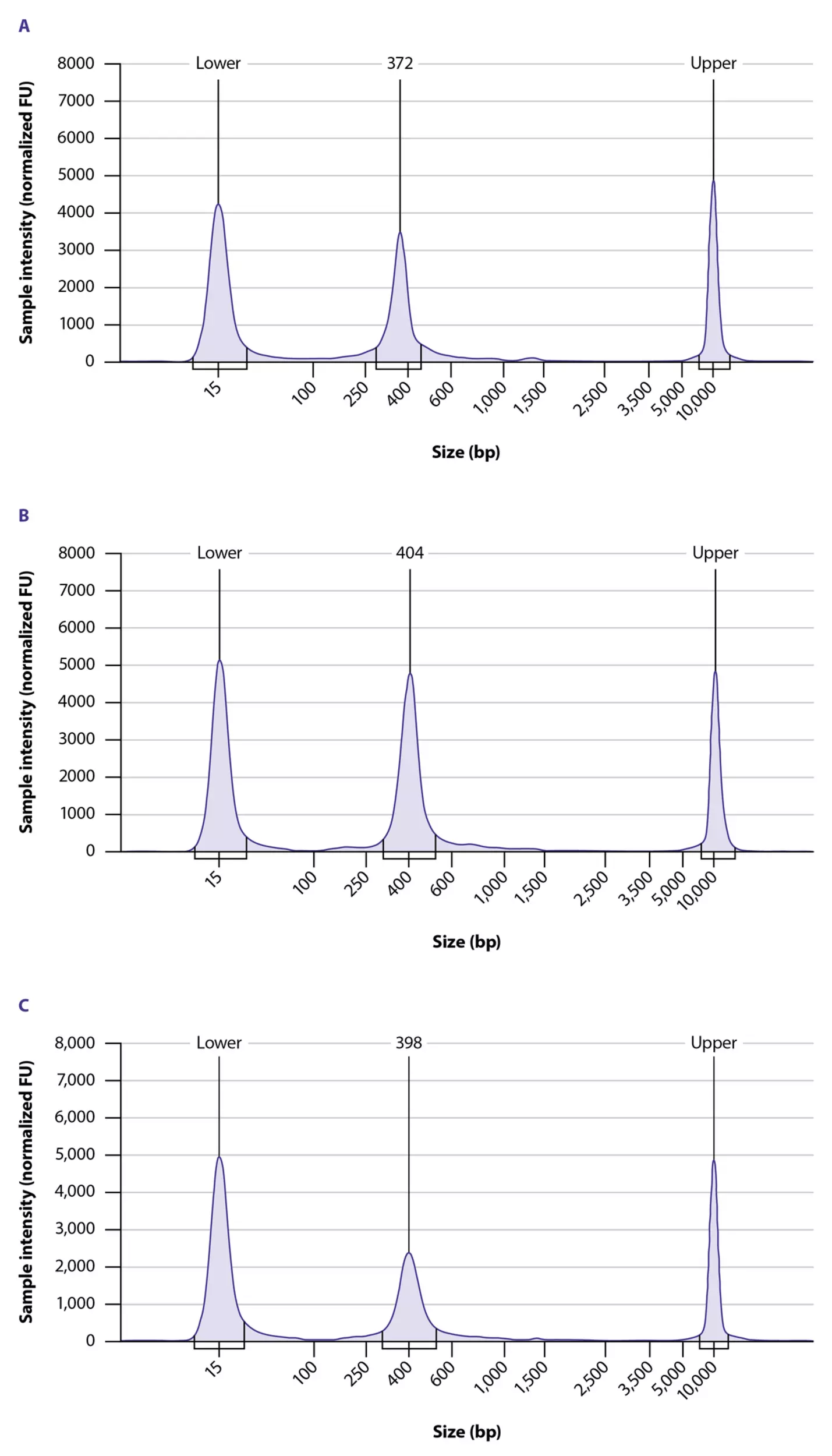 TCR alpha and beta cDNA libraries | TCR α/β RNA Profiling Kit, human ...