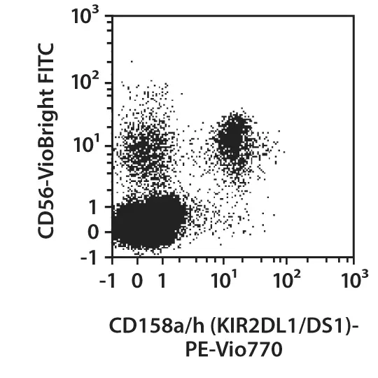 CD158a/h (KIR2DL1/DS1) Antibody, anti-human | Miltenyi Biotec | USA