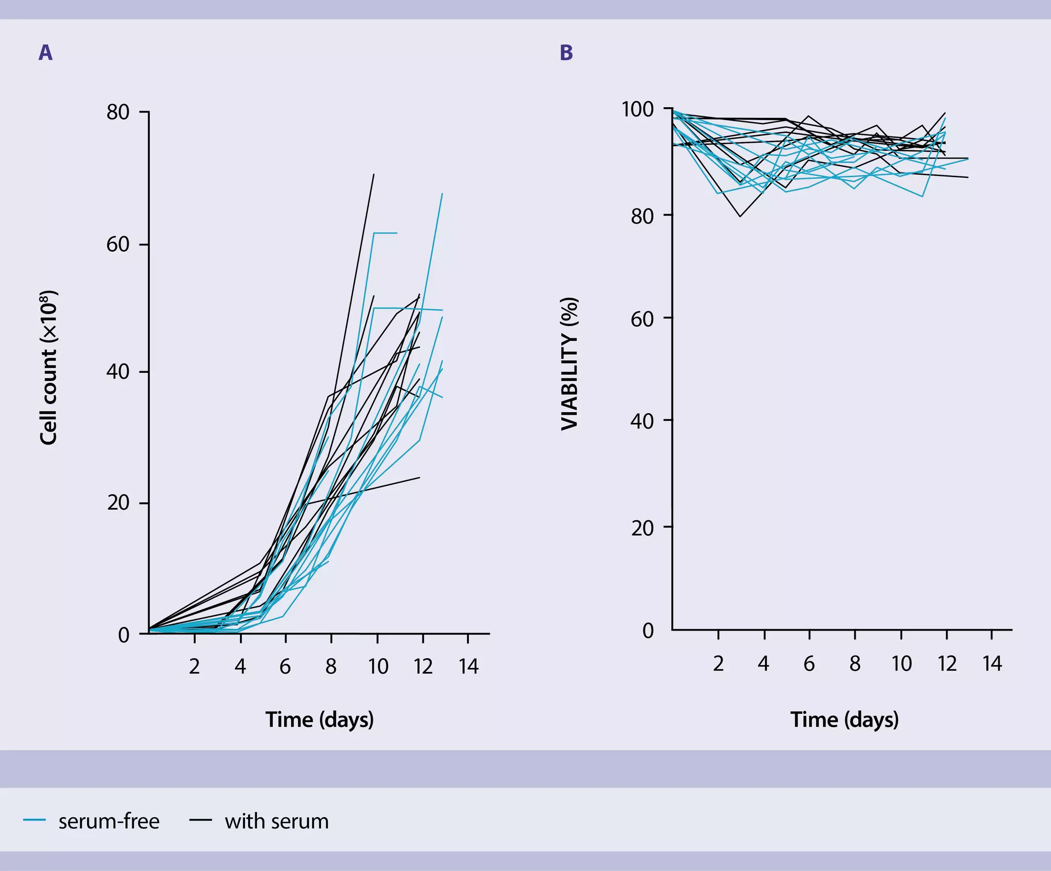 MACS® GMP T Cell TransAct™ | Miltenyi Biotec | USA