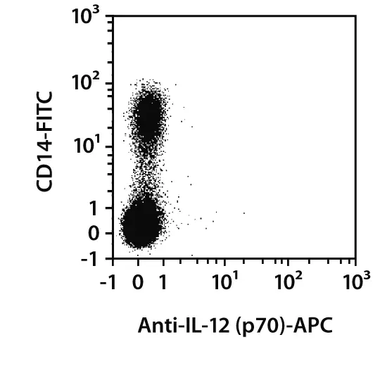 IL-12 (p70) Antibody, anti-human, REAfinity™ | Miltenyi Biotec | USA