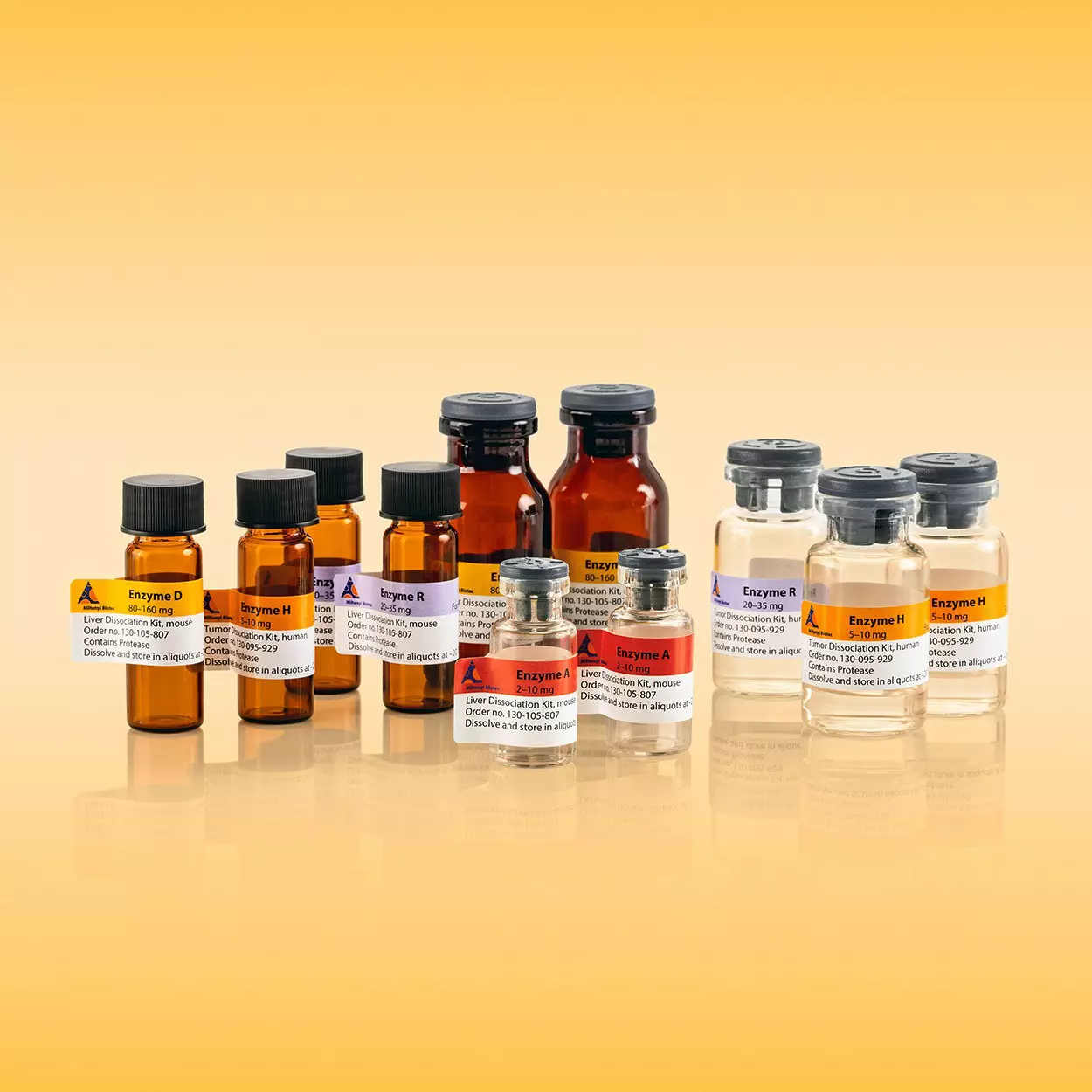 MACS® Sample Preparation | tissue preparation products | Miltenyi ...