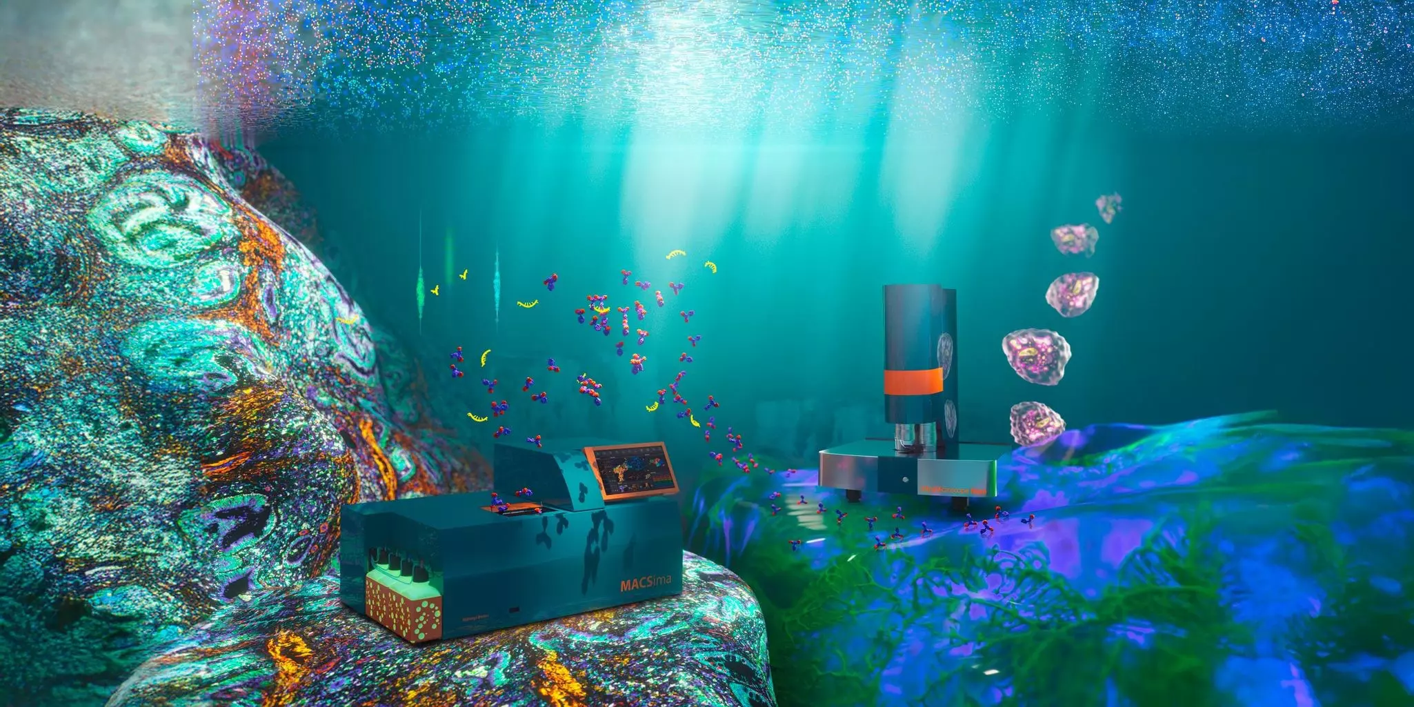 CD276 Antibody, anti-human, REAfinity™ | Miltenyi Biotec | USA