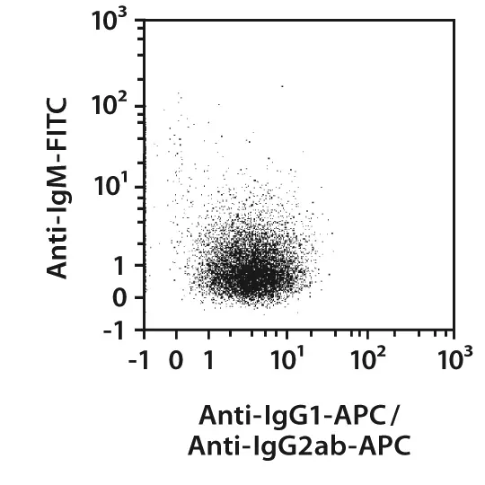 Memory B Cell Isolation Kit, Mouse | Miltenyi Biotec | USA