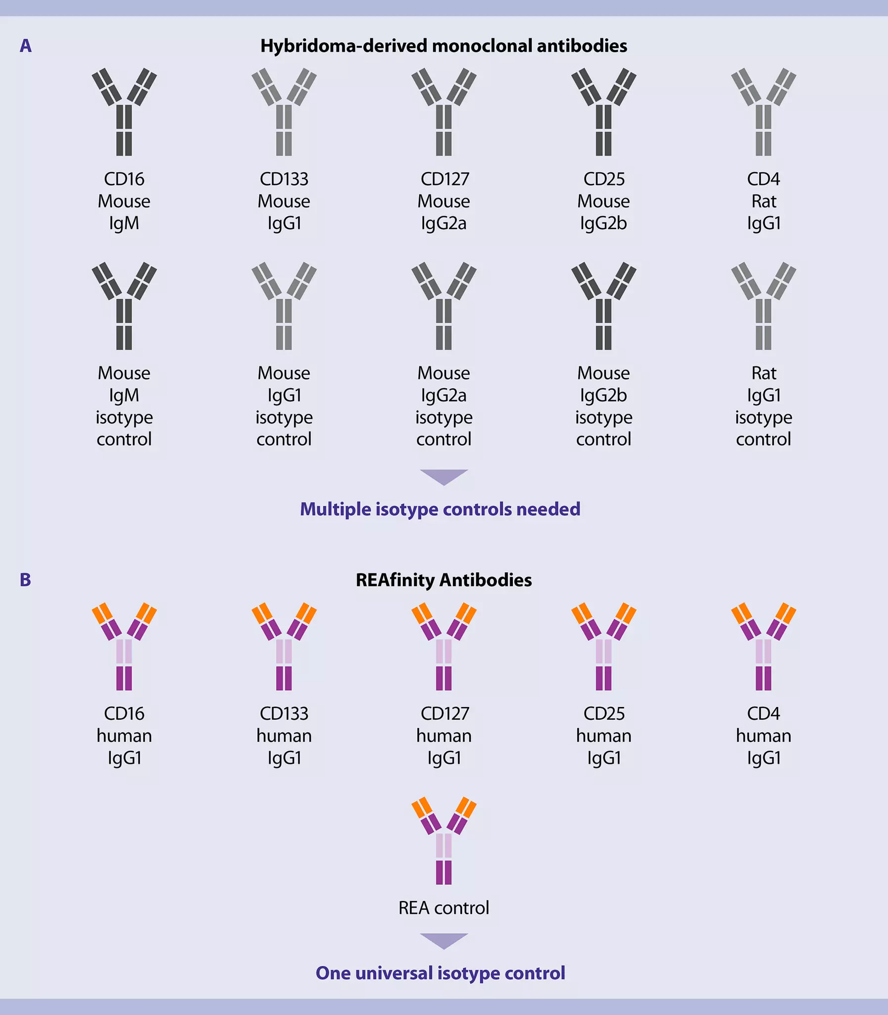 What Are Antibodies | MACS Handbook | Miltenyi Biotec | USA