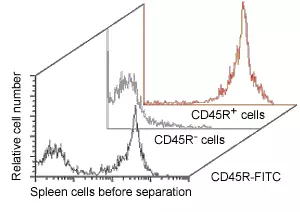 CD45R (B220) MicroBeads, mouse | Miltenyi Biotec | USA