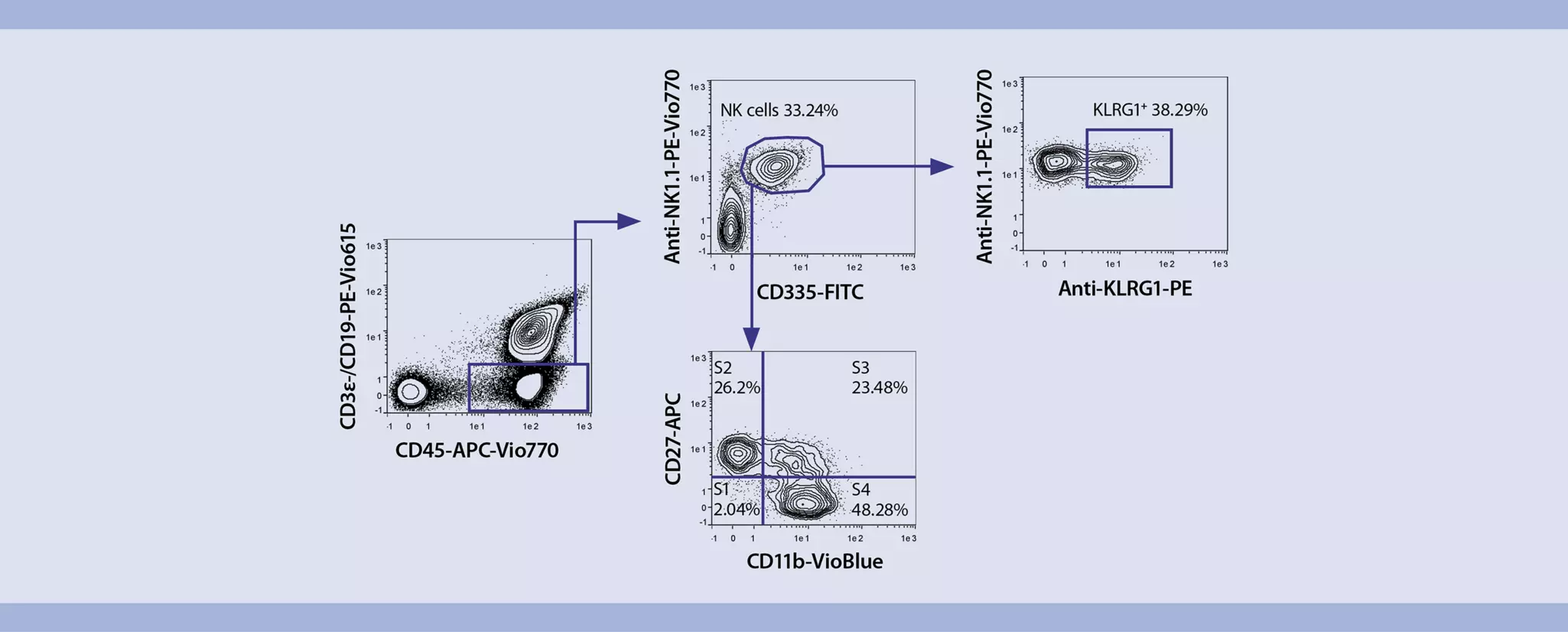 NK cells | Mouse spleen | Flow cytometry | Miltenyi Biotec | USA