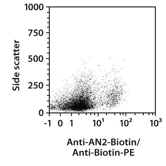 AN2 Antibody, anti-human/mouse | AN2 Antibody, anti-human/mouse ...