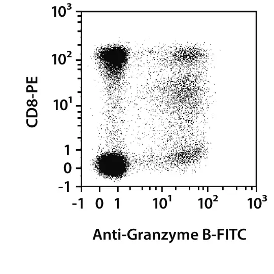 Granzyme B Antibody, Anti-human/mouse/rat, REAfinity™ | Miltenyi Biotec ...