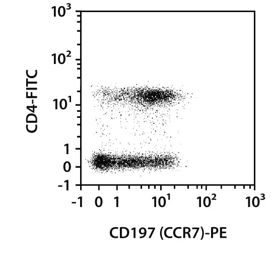 CD197 (CCR7) Antibody, Anti-human, REAfinity™ | Miltenyi Biotec | USA