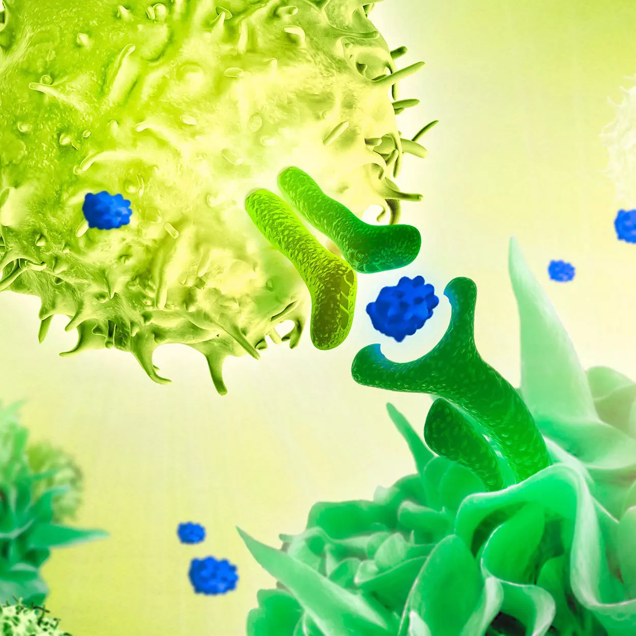 Flow Cytometry Reagents | Flow Cytometry Kits | Miltenyi Biotec | 中国