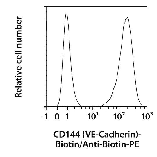 CD144 (VE-Cadherin) Antibody, anti-human, REAfinity™ | Miltenyi
