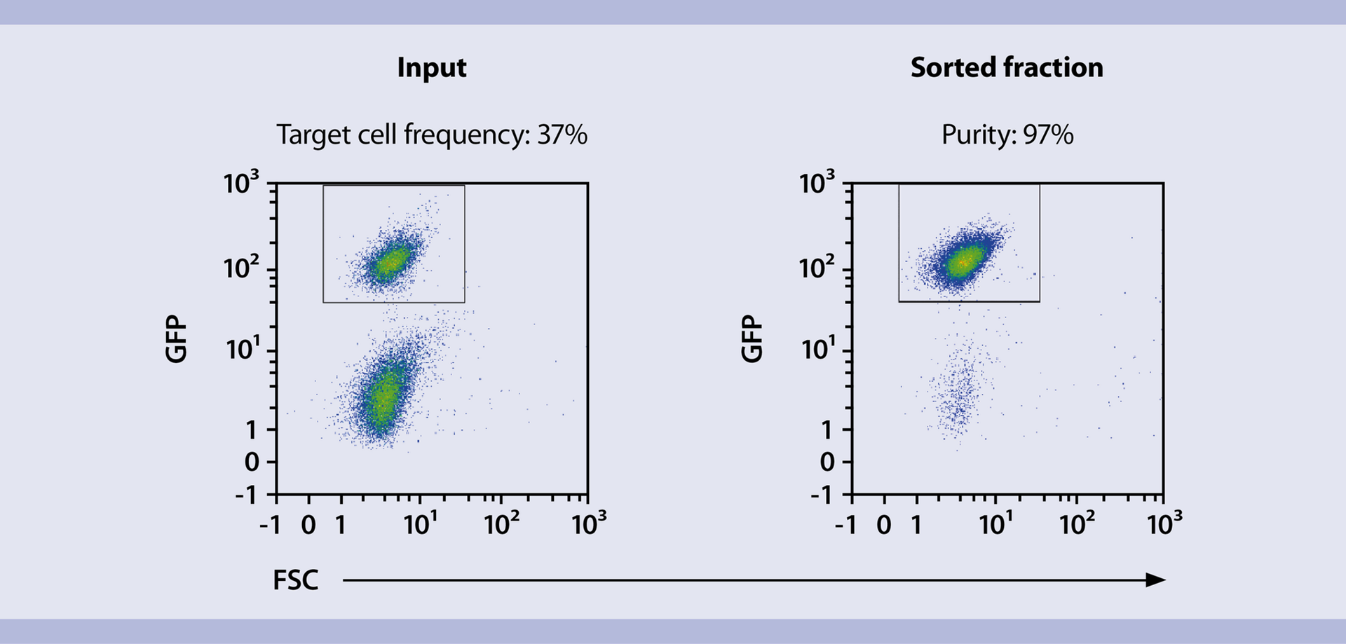 MACSQuant Tyto cell sorting applications Miltenyi Biotec Australia