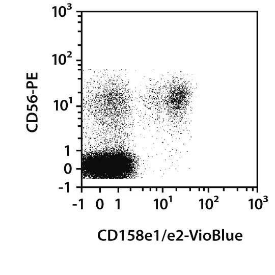 CD158e1/e2 Antibody, anti-human, REAfinity™ | CD158e1/e2 Antibody 