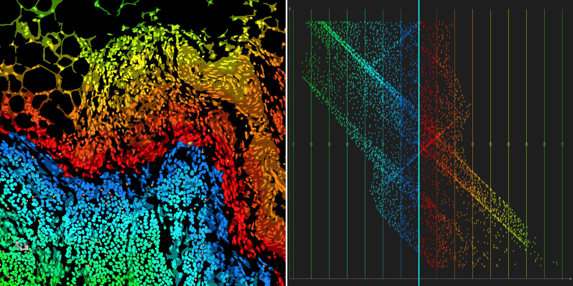 Spatial biology and imaging | Miltenyi Biotec | Australia