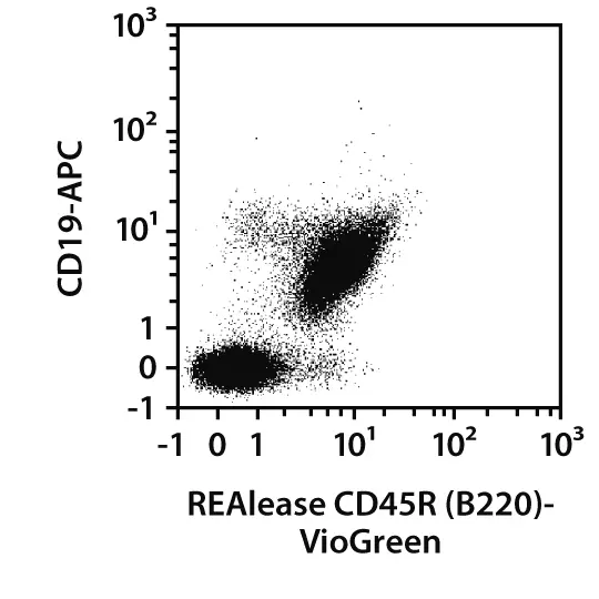 CD45R (B220) Antibody, anti-mouse, REAlease® | Miltenyi Biotec | USA
