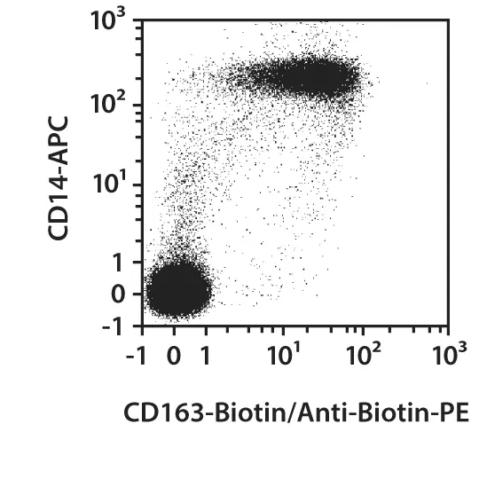 CD163 Antibody, anti-human, REAfinity™ | Miltenyi Biotec | USA