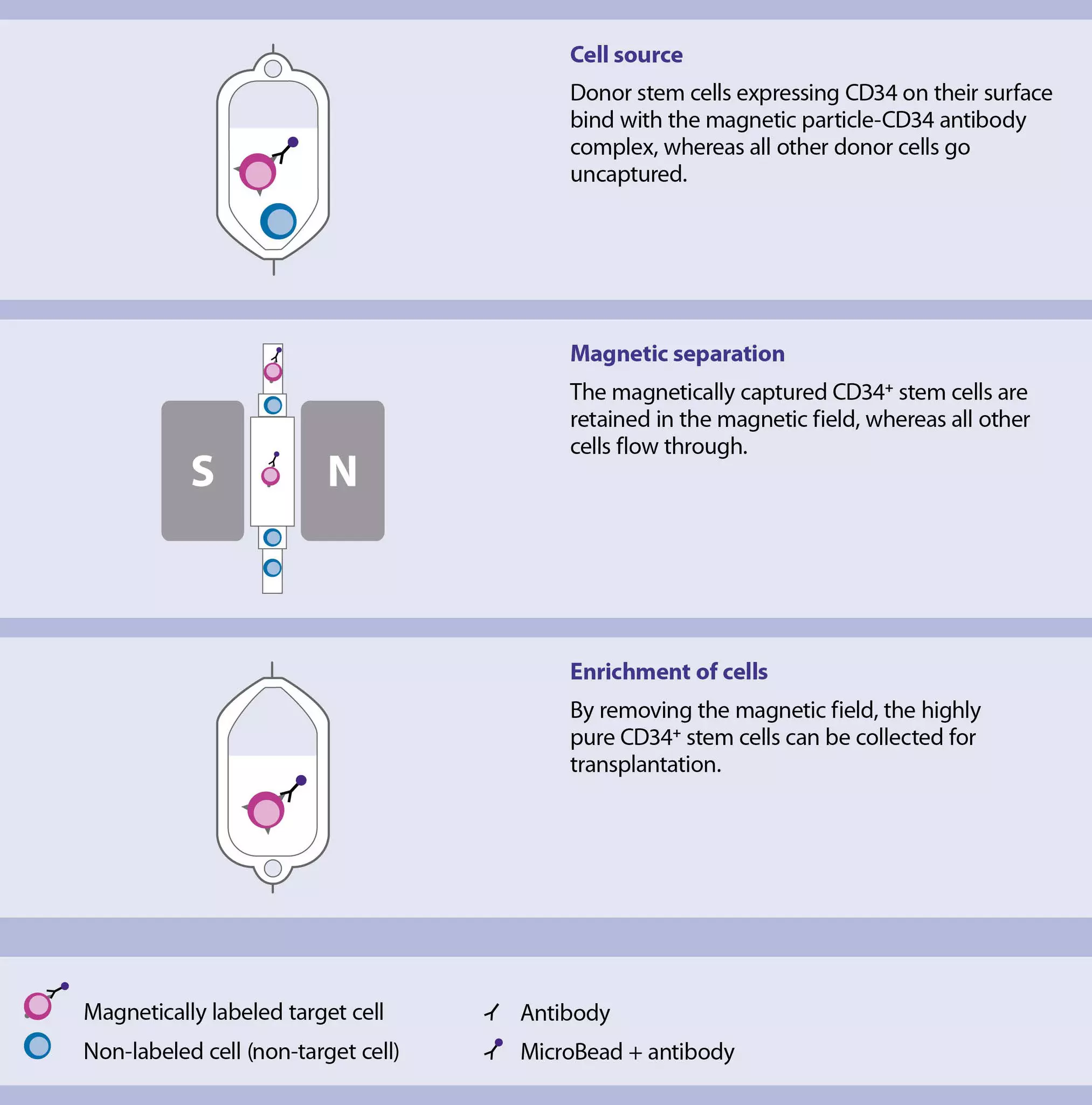 CliniMACS CD34 Reagent System Technology | Miltenyi Biotec | USA