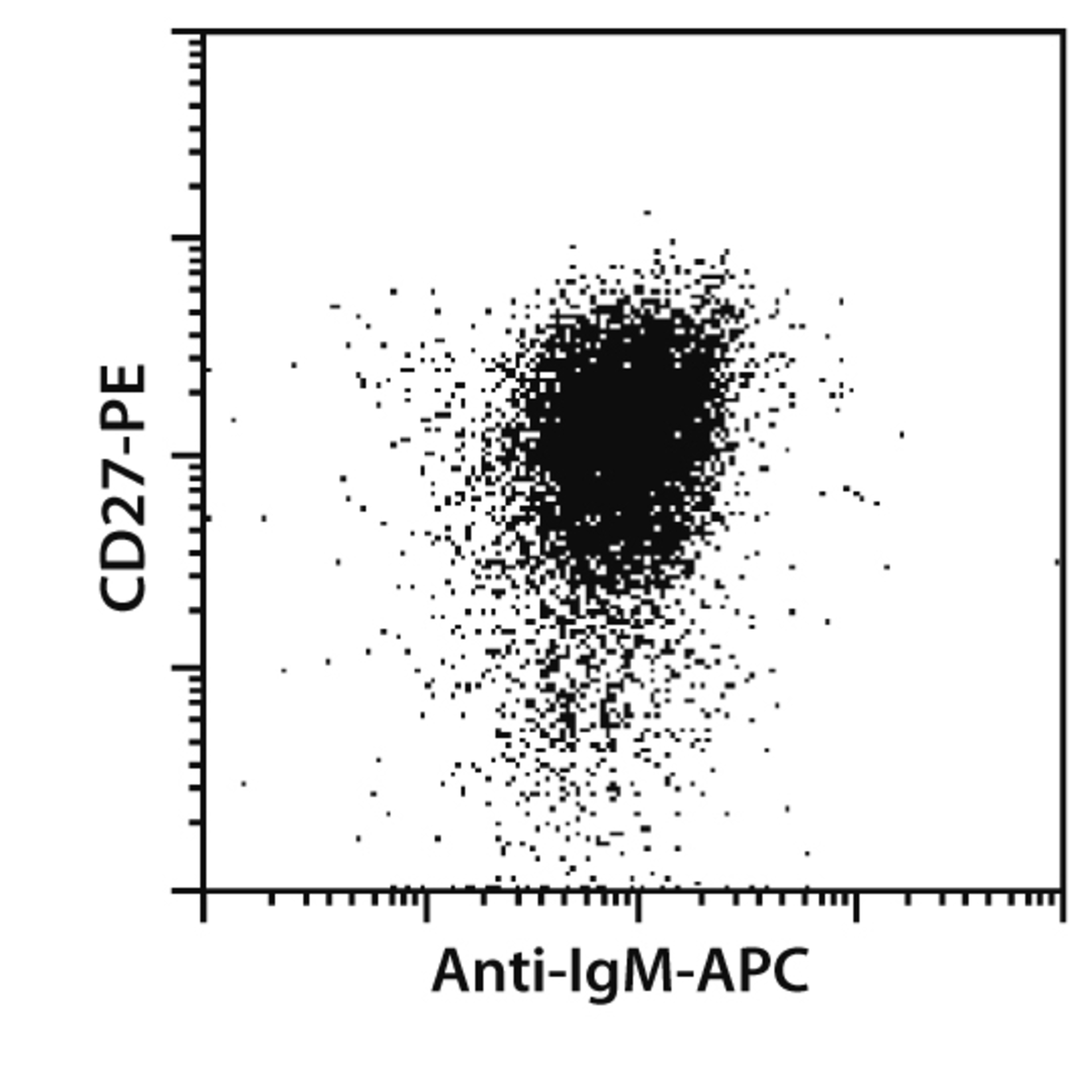 Immune Cells: What They Are & How They Fight Back - y938yi8