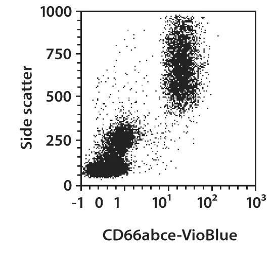 CD66abce Antibody, anti-human | CD66abce Antibody, anti-human 