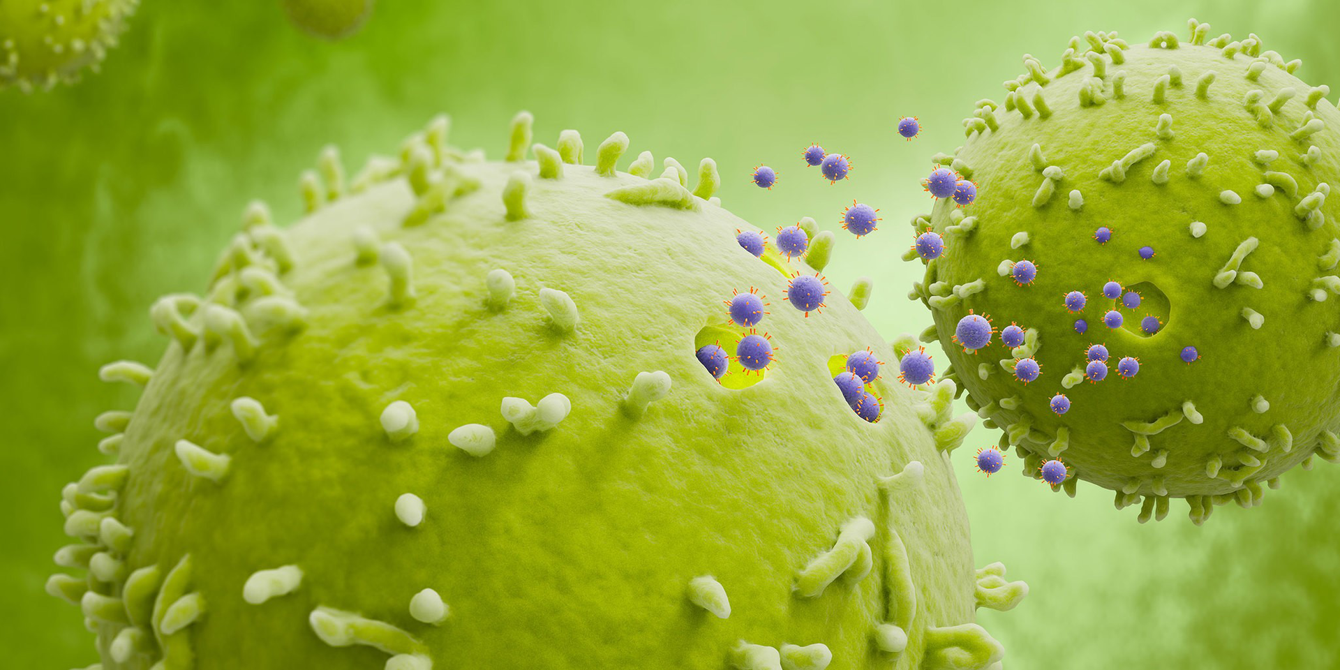 CD31 MicroBead Kit, human | Miltenyi Biotec | India