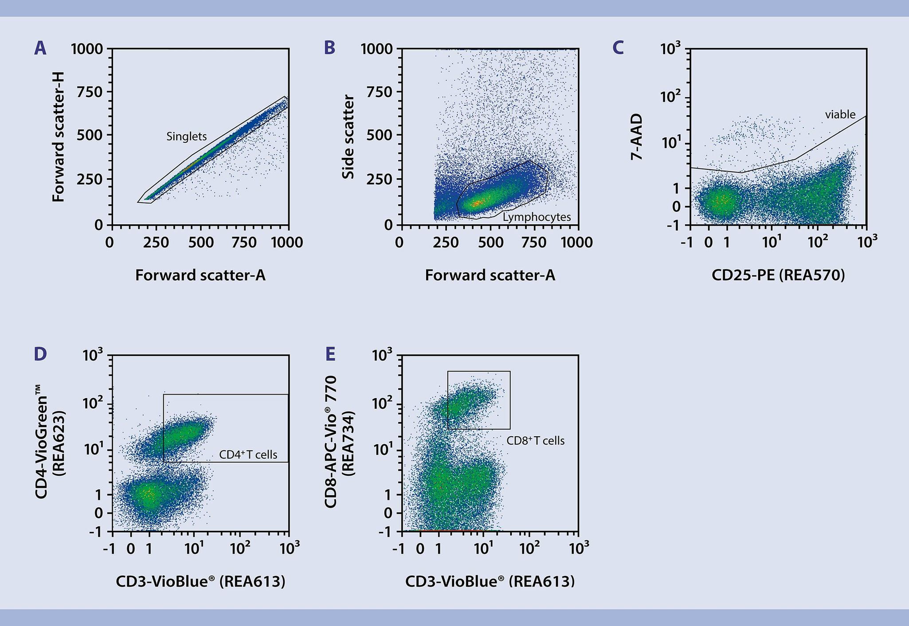 Immunophenotyping CD4+ CD8+ T cell activation Miltenyi Biotec USA
