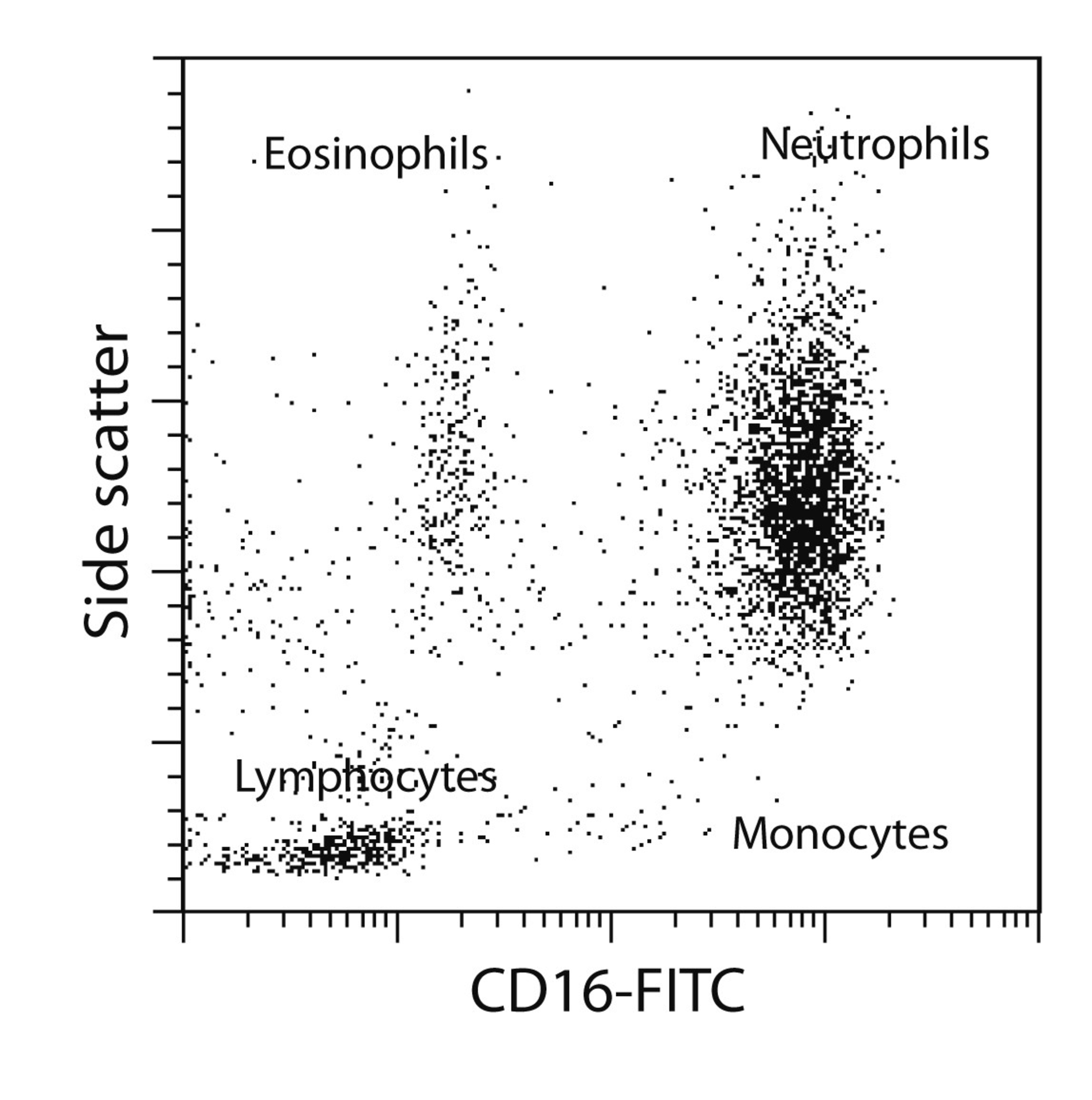 Granulocytes Polymorphonuclear Leukocytes Handbook Miltenyi