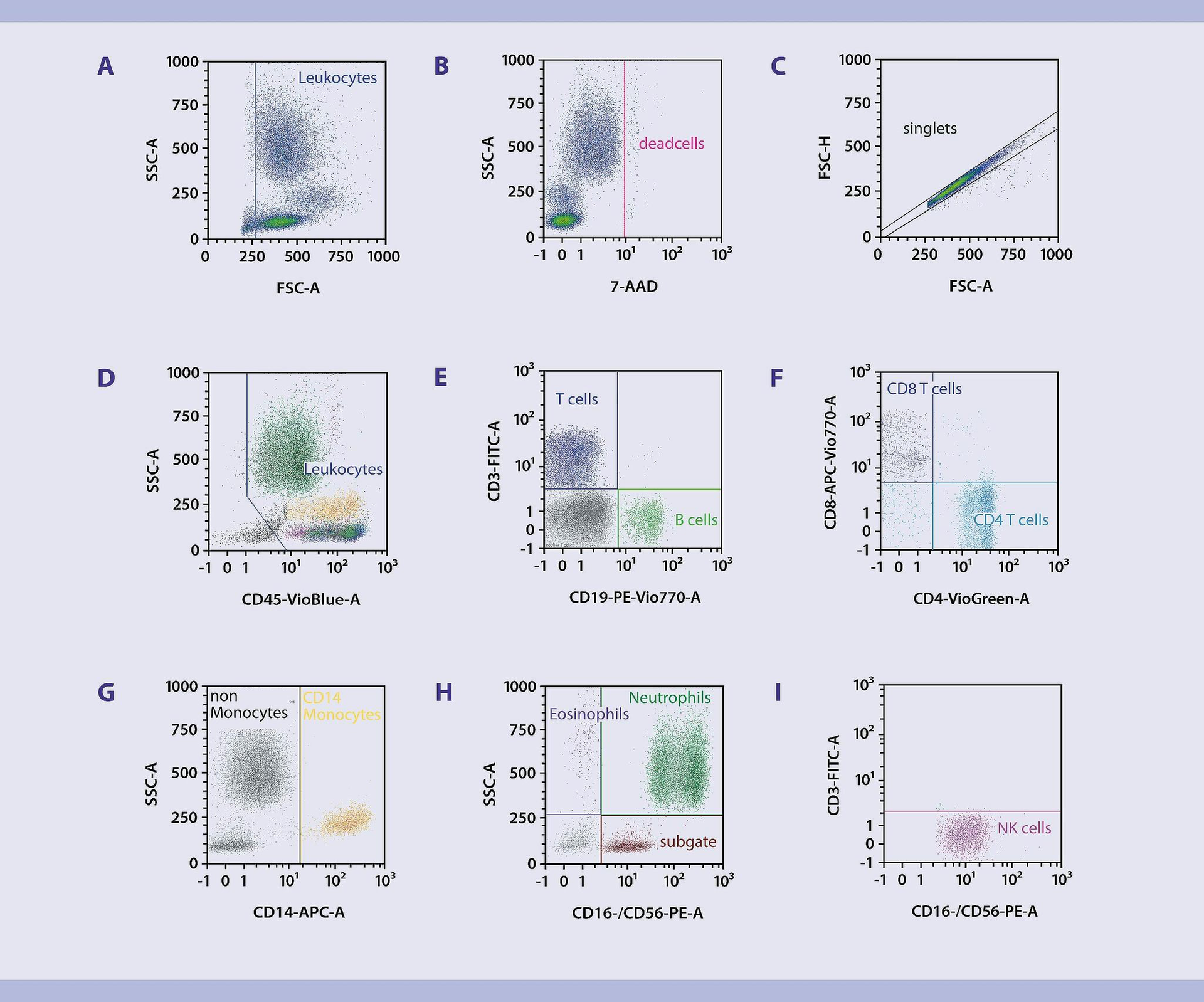 Immunophenotyping | Immune Cells From Whole Blood | Protocol | Miltenyi ...