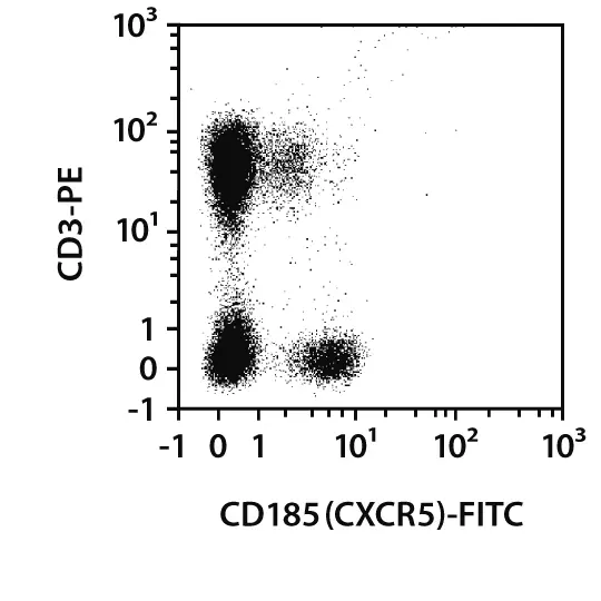 CD185 (CXCR5) Antibody, anti-human, REAfinity™ | Miltenyi Biotec | 中国