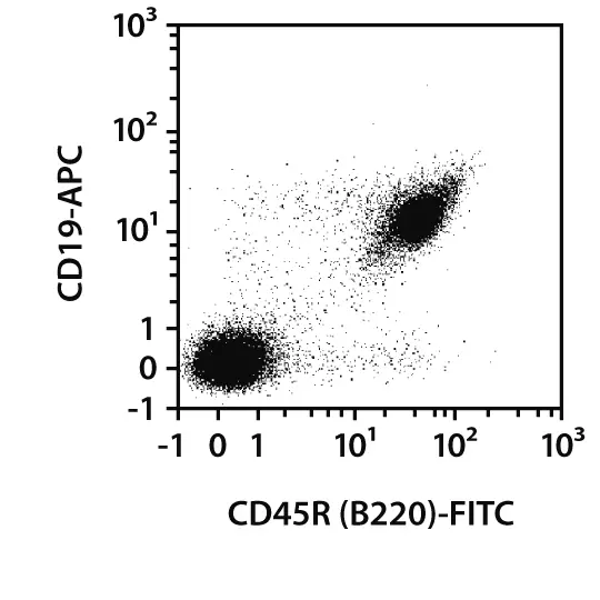 mi様。専用 APC anti-rat CD45RA Antibody anti-CD45RA - OX-33